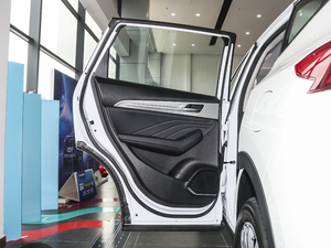 2020款2.0T 两驱i范 左后车门