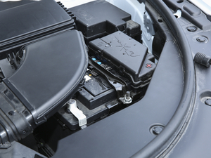 2020款乐享版 1.5T 手动智 其它