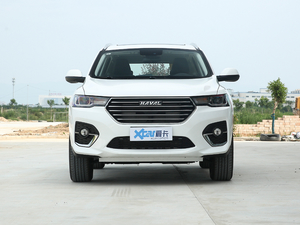 2020款乐享版 1.5T 手动智 正前