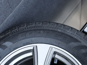 2020(lin) 1.5T Ԅ(dng)(q)A(lin) ݆̥Ʒ