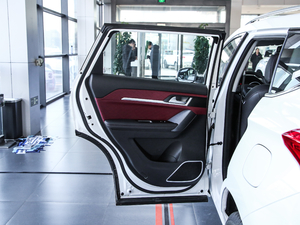 2020款智联版 1.5T 自动两驱豪华智联型 左后车门