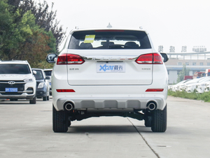 2020款智联版 1.5T 自动两驱精英型 正后	