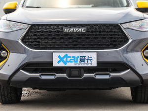 2020款2.0T 四驱性能版 中网