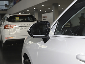 20201.5T DCT i (x)(ji)^