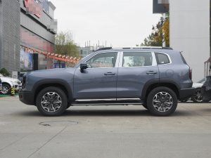 2021Ŀ 2.0T DCT(q)Ȯ (c)