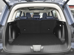 2021Ŀ 2.0T DCT(q)Ȯ g