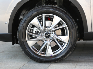 2021 1.5T ԄӃSupreme ݆Ȧ