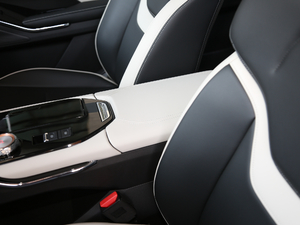 2021 1.5T ԄӃSupreme 