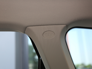 2021 1.5T ԄӃSupreme g