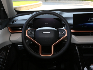 2021 1.5T ԄӃSupreme P