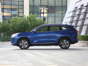 2021 1.5T ԄӃSupreme ȣ