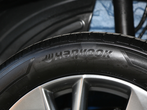 2021 1.5T Ԅ(dng)(q)Supreme ݆̥Ʒ