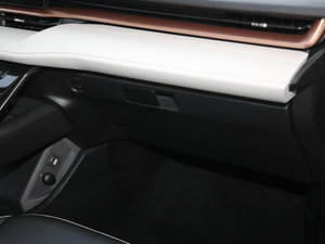 2021 1.5T ԄӃSupreme g