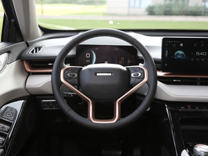 2021 1.5T ԄӃSupreme P