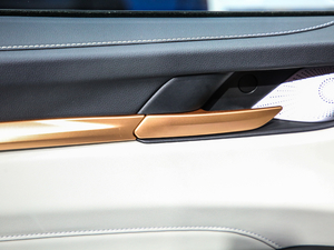 2021 1.5T ԄӃPlus g