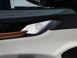 2021 1.5T ԄӃPlus g