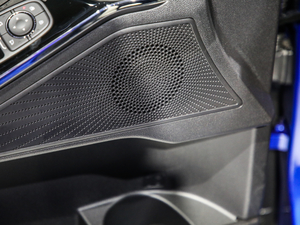 2021 1.5T ԄӃPlus g