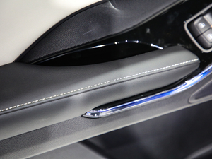 2021 1.5T ԄӃPlus g