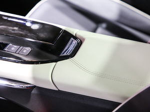 2021 1.5T ԄӃPlus g