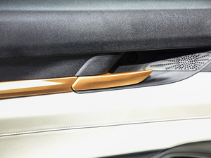 2021 1.5T ԄӃPlus g