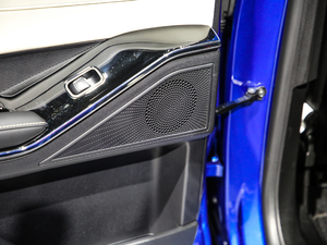 2021 1.5T ԄӃPlus g