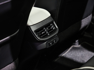 2021 1.5T ԄӃPlus g