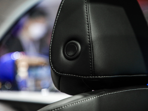 2021 1.5T ԄӃPlus g