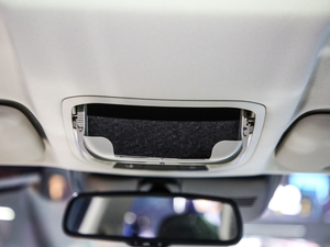 2021 1.5T ԄӃPlus g