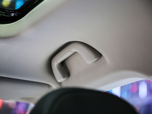 2021 1.5T ԄӃPlus g