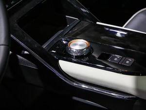 2021 1.5T ԄӃPlus QU