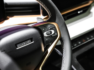 2021 1.5T ԄӃPlus п؅^