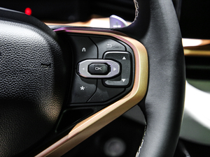 2021 1.5T ԄӃPlus п؅^