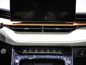 2021 1.5T ԄӃPlus {L