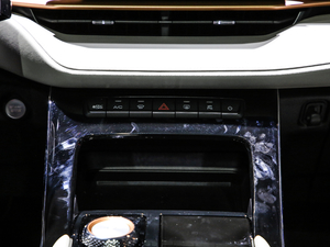 2021 1.5T ԄӃPlus {{