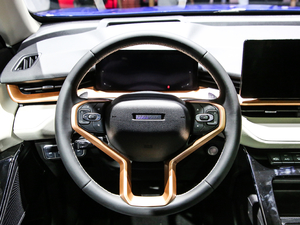 2021 1.5T ԄӃPlus P