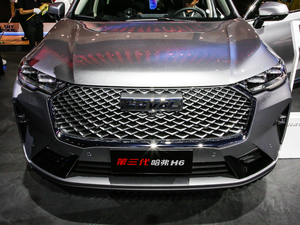 2021款第三代 1.5T 自动两驱Plus 中网