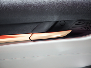 2021 1.5T Ԅ(dng)(q)Plus g