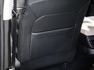 2021 1.5T Ԅ(dng)(q)Plus g