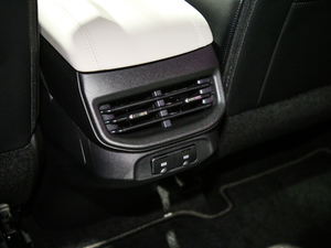 2021 1.5T ԄӃPlus g