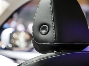 2021 1.5T ԄӃPlus g