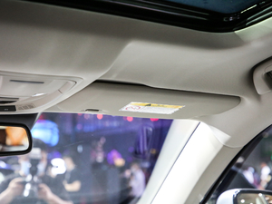 2021 1.5T ԄӃPlus g