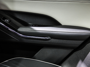 2021 1.5T ԄӃPlus g