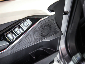 2021 1.5T ԄӃPlus g