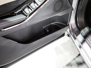 2021 1.5T ԄӃPlus g