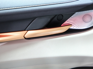 2021 1.5T ԄӃPlus g