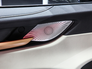 2021 1.5T ԄӃPlus g