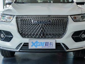 2021款第二代 2.0GDIT 自动冠军版 中网