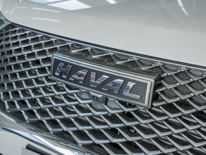 2021 1.5T Ԅ(dng)(q)Pro (x)(ji)^