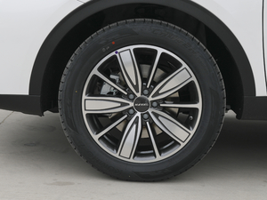 2021款第二代 1.5T 自动冠军版 轮圈