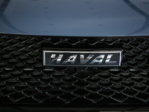 2021 2.0T Ԅ(q)Max (ji)^